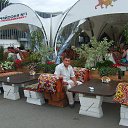 ���� ����, �����������, 39 ��� - ��������� 19 ������ 2013 � ������ ���� ����������