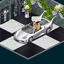 ���� �����, ������ ���, 24 ���� - ��������� 27 ������� 2013 � ������ �Tropikania�