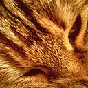  , --, 30  -  8  2012    