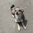 ���� �������, �����������, 57 ��� - ��������� 16 ���� 2011 � ������ ���� ����������