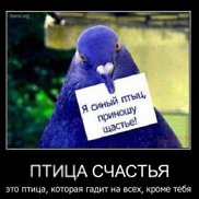 �����, 47 ���, �������