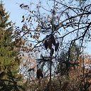  , , 41  -  15  2010   ~  ~