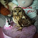 ���� �������, ���������, 56 ��� - ��������� 2 ������� 2013 � ������ ������ ��������