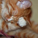 ���� ��������, ������������, 30 ��� - ��������� 3 ���� 2013 � ������ ����� ��� ������������