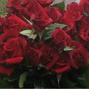 ���� ����, ���������, 39 ��� - ��������� 26 ������� 2011 � ������ ���� ����������