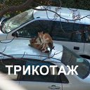 ���� ���, ������ - ��������� 10 ���� 2011