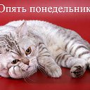 ���� ������, �������� - ��������� 30 ��� 2011 � ������ ��������))))�