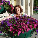  , -, 49  -  24  2012    