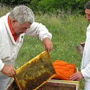 ���� �������, ������, 85 ��� - ��������� 11 ������� 2009 � ������ ���� ����������