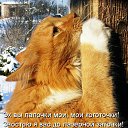 ���� �����, �����-���������, 26 ��� - ��������� 2 ������� 2011 � ������ ������