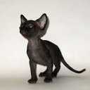 ���� ������, �����-���������, 47 ��� - ��������� 16 ������ 2011 � ������ ������� 2011�