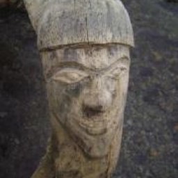 ���� �������, �����������, 45 ���