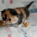 ���� ��� ����� :D, ����� - ��������� 30 ����� 2013 � ������ ������ ��������