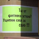 ���� ����, �����������, 34 ���� - ��������� 17 ��� 2013 � ������ ���