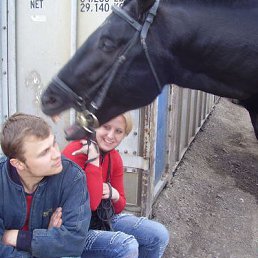 �����, ������, 41 ���