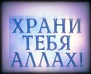 ���� �����, �����-���������, 29 ��� - ��������� 19 ����� 2013