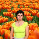 ���� ������, ���������, 56 ��� - ��������� 13 ������� 2010 � ������ ���� � ��������