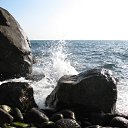 ����,������ ����