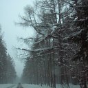 ���� ���, �����-��������� - ��������� 23 ������� 2010 � ������ �...������
