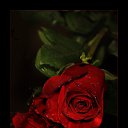 ���� �����, ����������, 42 ���� - ��������� 18 �������� 2010 � ������ �������