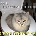 ���� ����, ��������� - ��������� 20 ���� 2013 � ������ ���� ����������