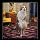 ���� �����, ����, 41 ��� - ��������� 25 ������� 2013 � ������ ���� ����������