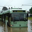 ���� �������, �����, 36 ��� - ��������� 26 ���� 2009 � ������ ���� ��� "������" ���� � ������ 24.07.09�