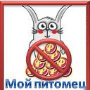 ���� �������, ��������, 39 ��� - ��������� 30 ���� 2011 � ������ �������