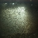 ���� ������, ������, 46 ��� - ��������� 11 ������ 2012 � ������ ���� ����������