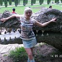  , , 41  -  15  2010   ~      ~