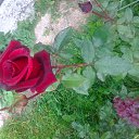 ���� ������, �����������, 53 ���� - ��������� 20 ������� 2013