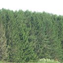 ���� �����, ������, 35 ��� - ��������� 29 ������� 2011