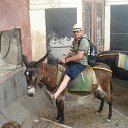 ���� �����, ���, 61 ��� - ��������� 4 ������� 2011 � ������ ���� ����������