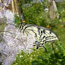  , -, 40  -  16  2011     