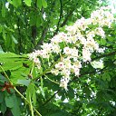 ���� �����, ��������, 45 ��� - ��������� 3 ������� 2010 � ������ ����� �������