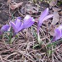 ���� ������, �����-���������, 64 ���� - ��������� 30 ������ 2013 � ������ ���� ����������