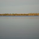 ���� ������, ������, 42 ���� - ��������� 17 ���� 2011 � ������ �������