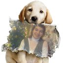 ���� ������, ���������, 41 ��� - ��������� 13 ����� 2012 � ������ ������ ����� 2�