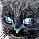 ���� ���������, ������, 26 ��� - ��������� 23 ��� 2013 � ������ ���� ����������