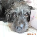 ��� ������.... �� ������ ��-�� �� ������ ������ ���������, ��� ��� ����� ����� ������ �� ������� �� � ��� ������