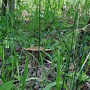 ���� ������, �������� - ��������� 16 ������� 2012 � ������ �������