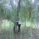 ���� ��������, ������-��-����, 62 ���� - ��������� 3 ������� 2011 � ������ ���� ����������