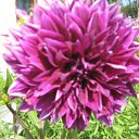 ���� ���������, ���������� - ��������� 5 ������� 2010 � ������ ���������� �����Ȼ