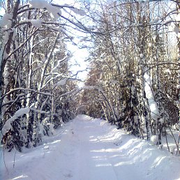 ���� �����, �����, 47 ��� - ��������� 7 ������� 2013