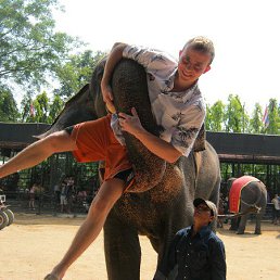 ������, �������, 38 ���