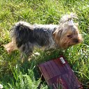 ���� Vladimir, ������, 65 ��� - ��������� 30 ������� 2011 � ������ ���� ����������