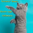 ���� *Heart*, ���� - ��������� 31 ���� 2013 � ������ ���� ����������