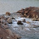 ���� �����, �����������, 36 ��� - ��������� 27 �������� 2010 � ������ �� � ��������