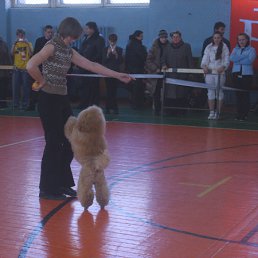 ���� ��������, �����������, 54 ���� - ��������� 15 ����� 2010