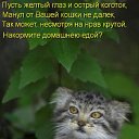���� �������, ���������, 48 ��� - ��������� 31 ������� 2010 � ������ �)))�